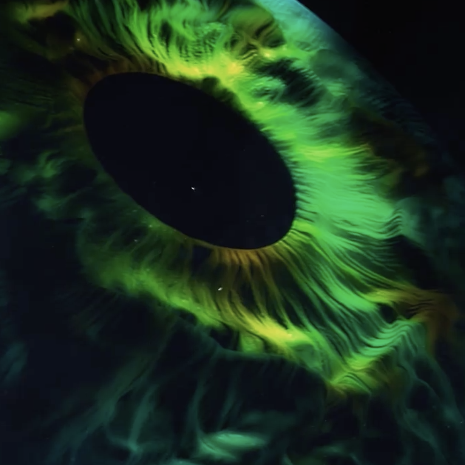 oeil vert gros plan